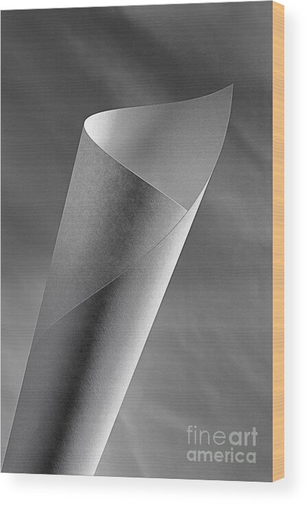 Black White Monochrome Paper Light Lighting Abstract Paper Spiral Twist Spin Wrap Still Life Studio Wood Print featuring the photograph A Paper in Spiral by Ken DePue