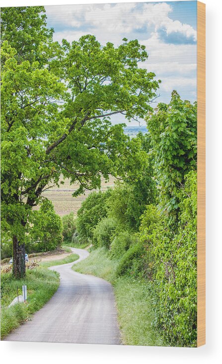 Vineyard Wood Print featuring the photograph A road to Beaune by W Chris Fooshee