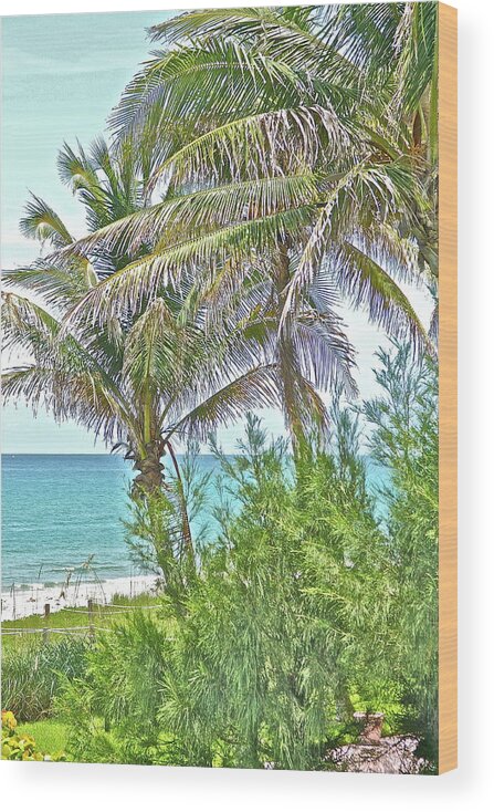 Ocean Wood Print featuring the photograph A View From Palm Beach by Lauren Serene