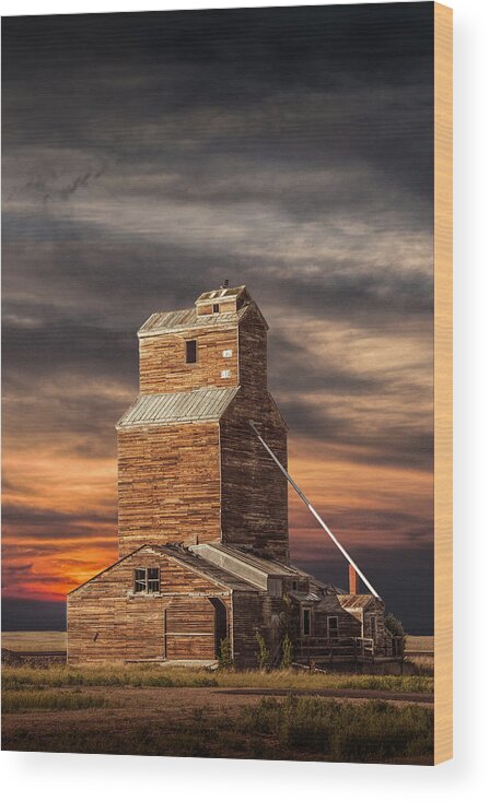 Elevator Wood Print featuring the photograph Abandoned Grain Elevator on the Prairie by Randall Nyhof