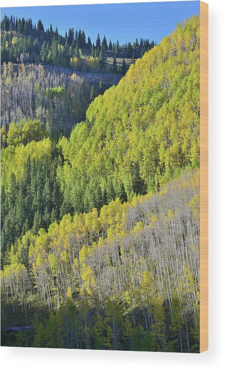 Colorado Wood Print featuring the photograph Above the Silverton to Durango Highway by Ray Mathis