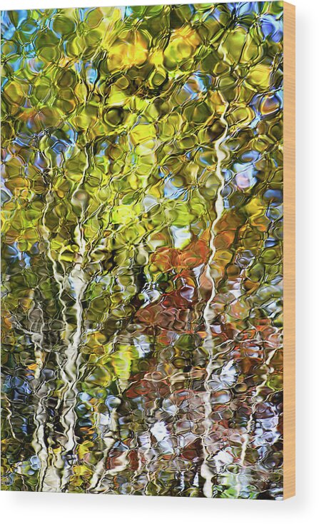 Abstract Wood Print featuring the photograph Abstract Tree Reflection by Christina Rollo