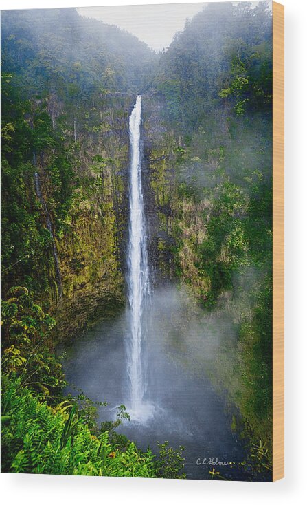 Nature Wood Print featuring the photograph Akaka Falls by Christopher Holmes