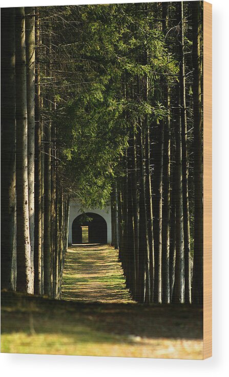 Alley Wood Print featuring the photograph Alley at the monastery by Emanuel Tanjala