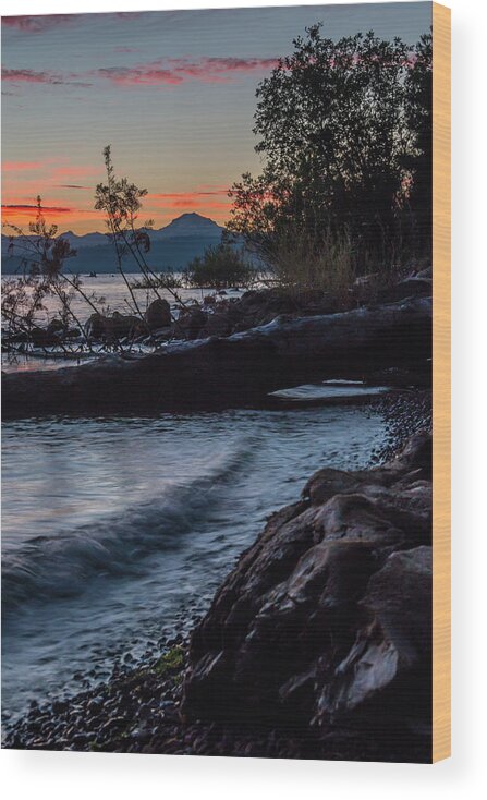 Lake Almanor Wood Print featuring the photograph Almanor Driftwood by Jan Davies