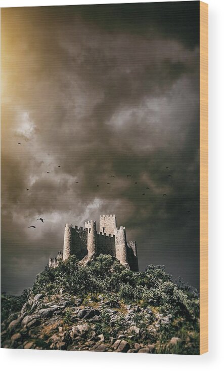 Architecture Wood Print featuring the photograph Almourol Castle in Portugal by Carlos Caetano