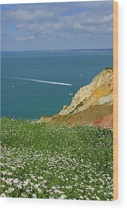 Europe Wood Print featuring the photograph Alum Bay from West High Down by Rod Johnson