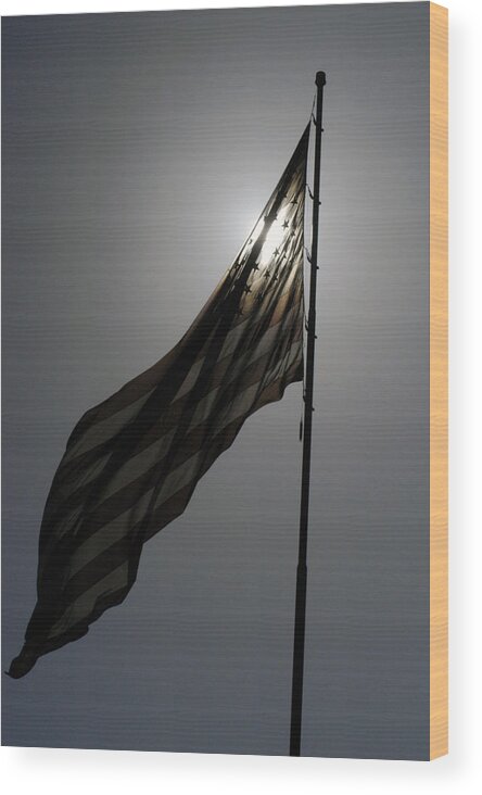 Us Flag Wood Print featuring the photograph American Pride - Flag by DArcy Evans