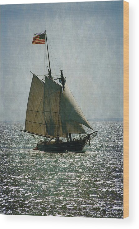 A Sail Wood Print featuring the photograph Amistad by Karol Livote