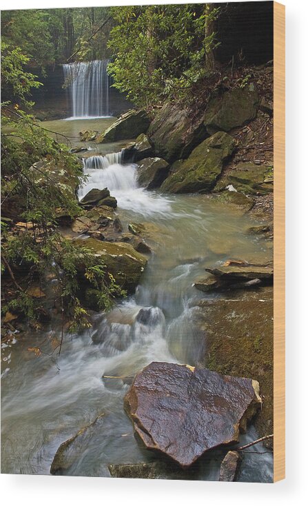 Waterfall Wood Print featuring the photograph Amos Falls Kentucky by Ulrich Burkhalter