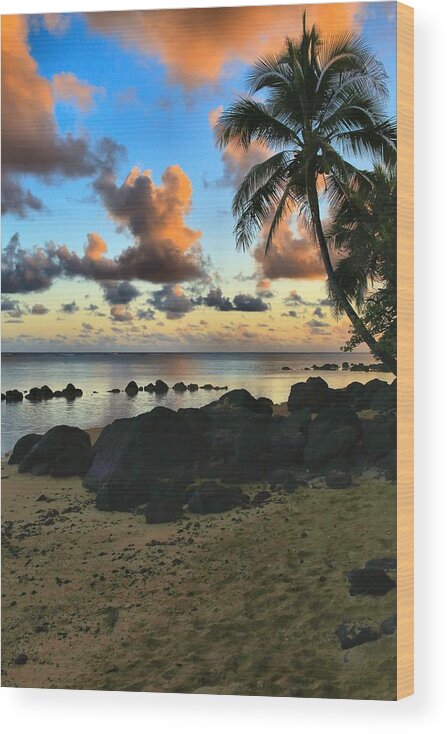 Hawaii Wood Print featuring the photograph Anini Beach by DJ Florek