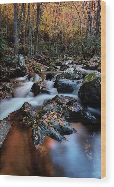 Mountain Stream Wood Print featuring the photograph Another Fall Morning by Mike Eingle
