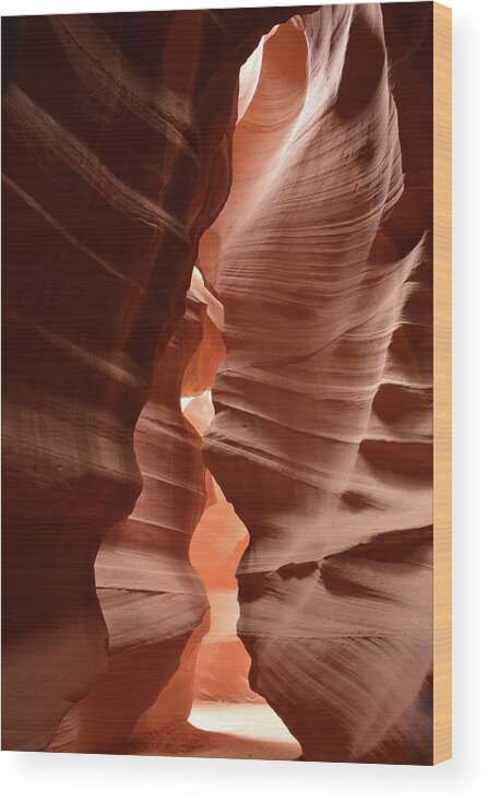 Antelope Canyon Wood Print featuring the photograph Antelope Canyon by Carolyn Mickulas