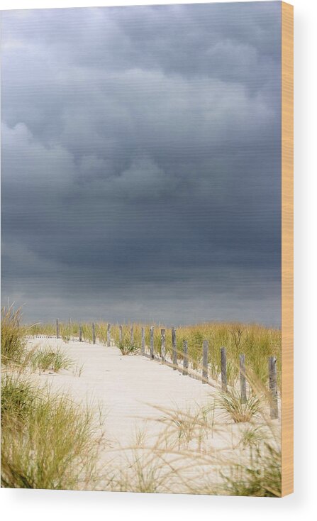 Beach Wood Print featuring the photograph Around the Bend by Dana DiPasquale