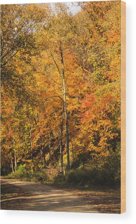 Galena Wood Print featuring the photograph Around the Bend in Color by Joni Eskridge