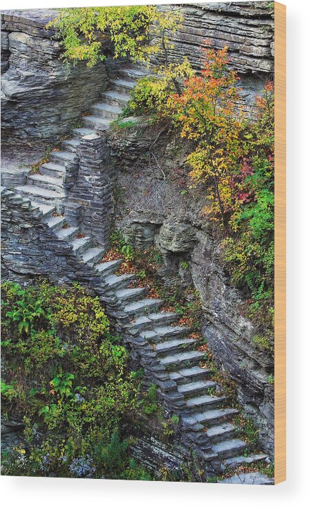 Fall Wood Print featuring the photograph Ascent by Neil Shapiro