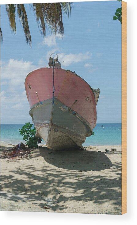 Caribbean Wood Print featuring the photograph At rest ashore by Liz Albro