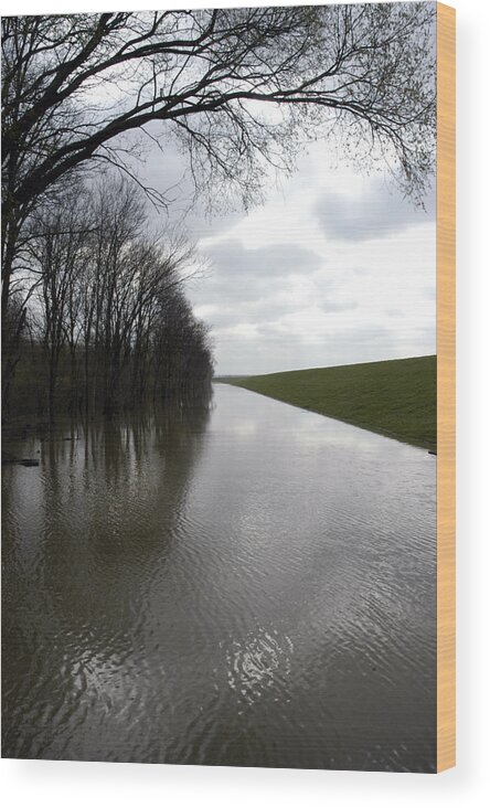 Flood Wood Print featuring the photograph At The Levee by DArcy Evans
