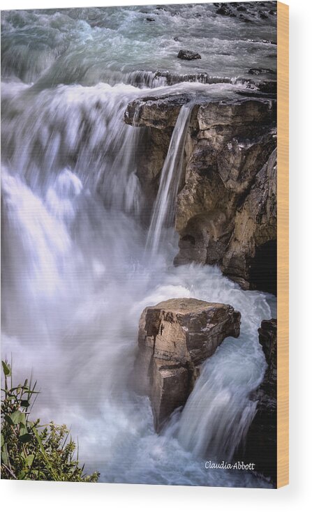 Athabasca Falls Wood Print featuring the photograph Athabasca Falls by Claudia Abbott