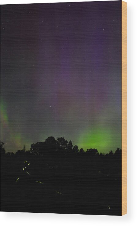Northern Lights Wood Print featuring the photograph Aurora's and Fireflies by Brook Burling