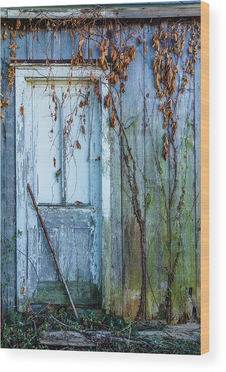 Steven Bateson Wood Print featuring the photograph Autumn Door by Steven Bateson