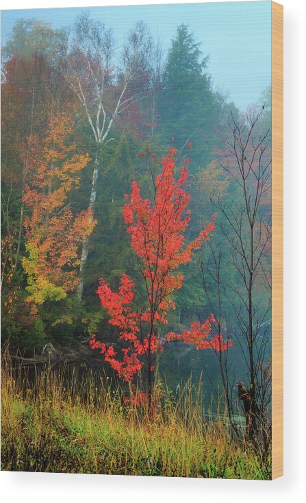 Color Wood Print featuring the photograph Autumn Fire by MaryGail Perkins