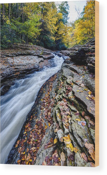 Appalachian Wood Print featuring the photograph Autumn in the Appalachians by Matt Hammerstein
