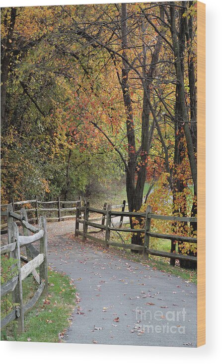 Autumn Wood Print featuring the photograph Autumn Path in Park in Maryland by William Kuta