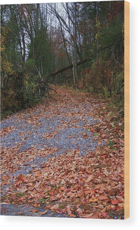 Photo For Sale Wood Print featuring the photograph Autumn Path by Robert Wilder Jr