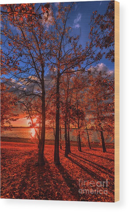 14mm Wood Print featuring the photograph Autumn Perfection by Ian McGregor