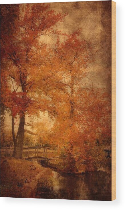 Autumn Landscapes Wood Print featuring the photograph Autumn Tapestry - Lake Carasaljo by Angie Tirado