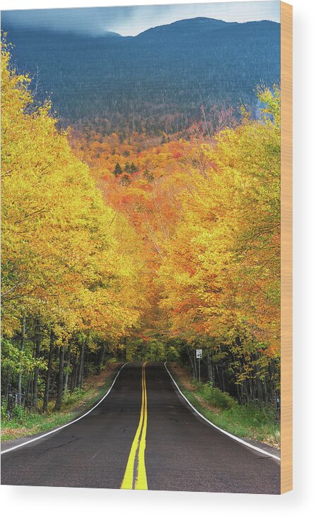 Autumn Wood Print featuring the photograph Autumn Tree Tunnel by Jatin Thakkar