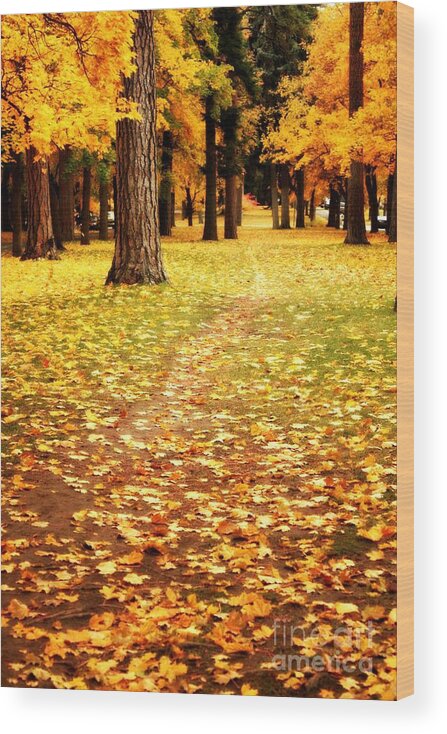 Autumn Wood Print featuring the photograph Autumn Walk in Spokane by Carol Groenen