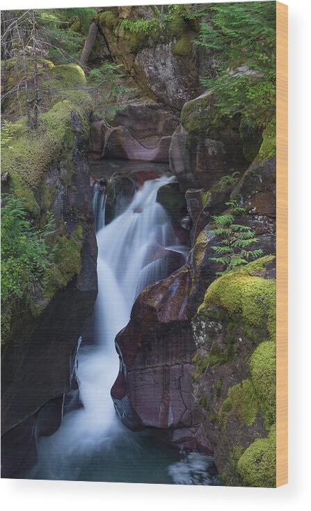 Avalanche Gorge Wood Print featuring the photograph Avalanche Gorge 3 by Gary Lengyel