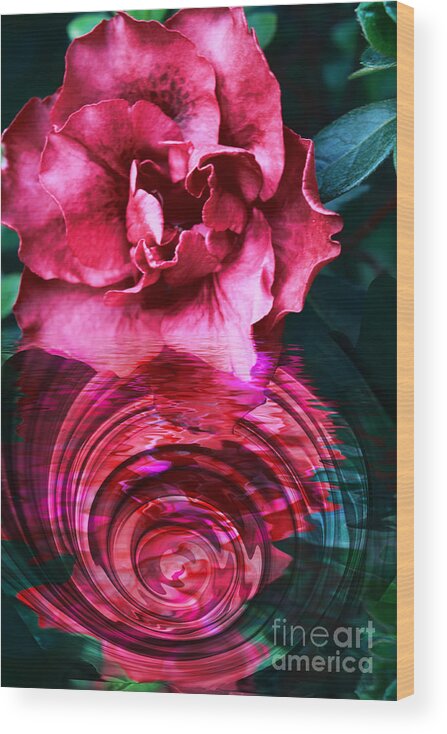 Floral Wood Print featuring the photograph Azalea Reflection by Elaine Teague