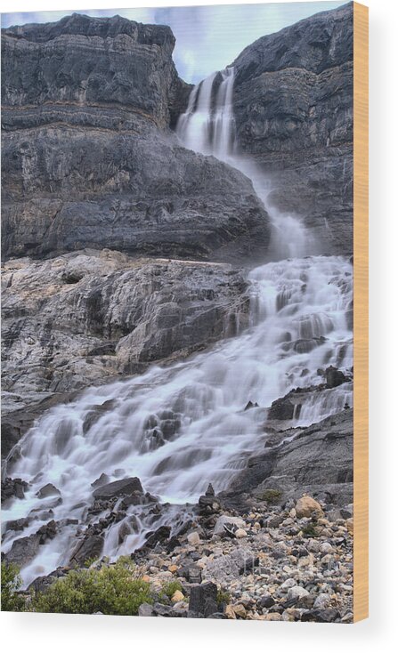 Bow Glacier Falls Wood Print featuring the photograph Banff Bow Glacier Falls Portrait by Adam Jewell