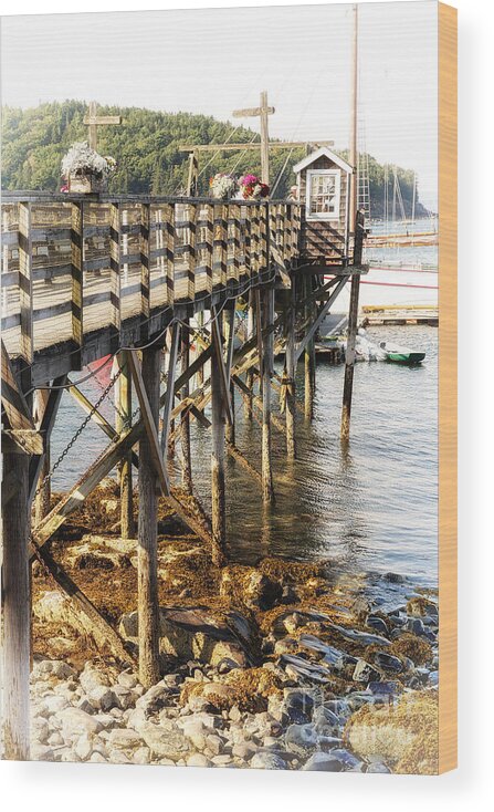 Bar Wood Print featuring the photograph Bar Harbor pier by Jane Rix