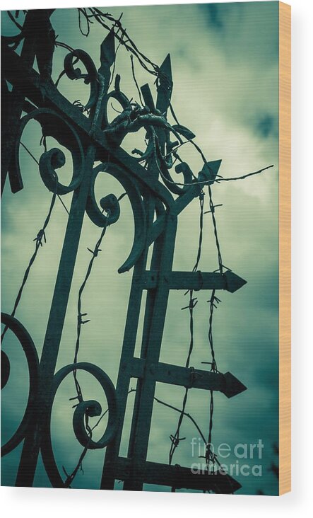 Gate Wood Print featuring the photograph Barbed Wire Gate by Carlos Caetano
