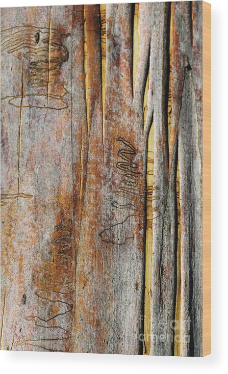 Bark Wood Print featuring the photograph Bark MK2 by Werner Padarin