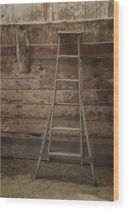 Scott Farm Vermont Wood Print featuring the photograph Barn Ladder by Tom Singleton