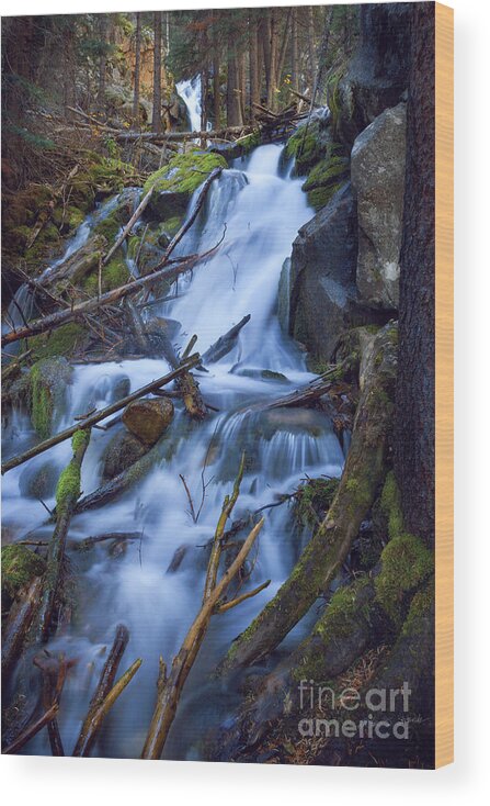 Beartooth Wood Print featuring the photograph Basin Falls by Craig J Satterlee