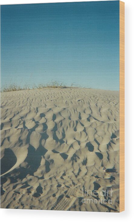 Beach Wood Print featuring the photograph Beach Dune by Cat Rondeau