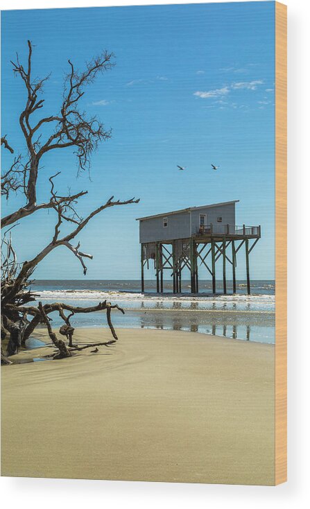 Tree Wood Print featuring the photograph Beach Front by Ray Silva