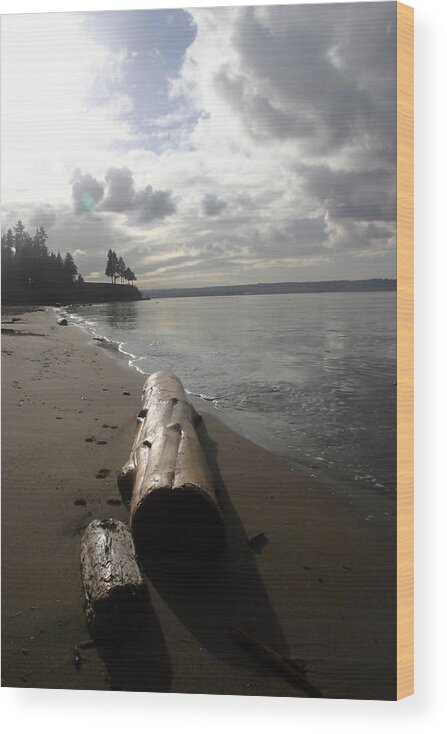 Seascape Wood Print featuring the photograph Beach Logs by Mary Haber