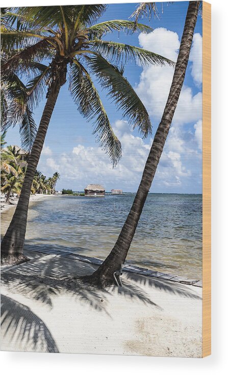 Ambergris Caye Wood Print featuring the photograph Beach Paradise by Lawrence Burry