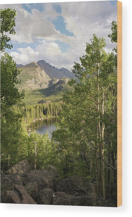 Four Seasons Wood Print featuring the photograph Bear Lake Summer by Aaron Spong