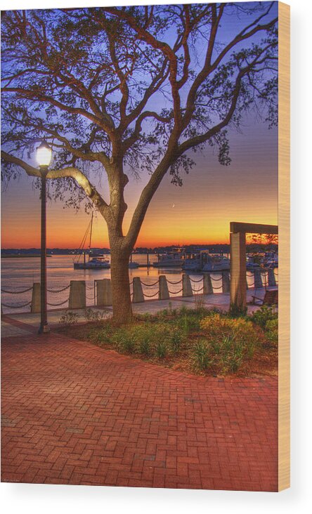Park Wood Print featuring the photograph Beaufort Waterfront by Ches Black