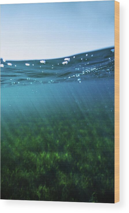 Underwater Wood Print featuring the photograph Beauty Under the Water by Gemma Silvestre