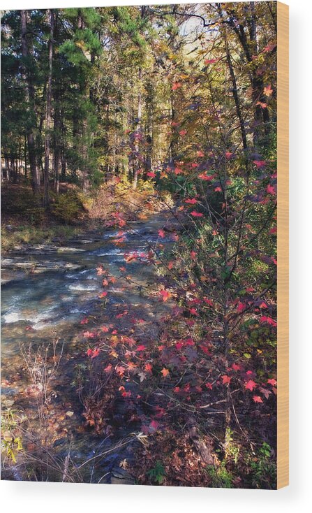 Autumn Wood Print featuring the photograph Beavers Bend by Lana Trussell
