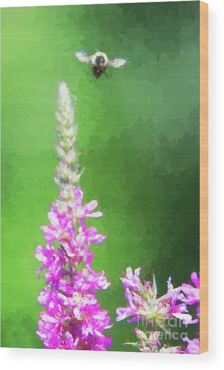 Green Wood Print featuring the digital art Bee Over Flowers by Ed Taylor